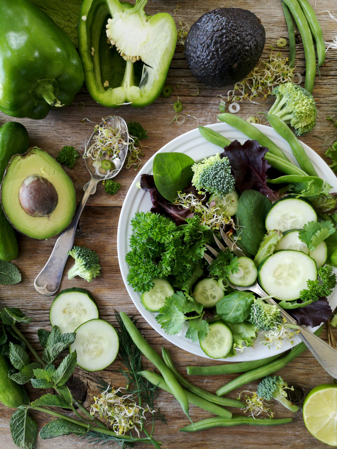 Deciphering Low Carb Myths and Misconceptions