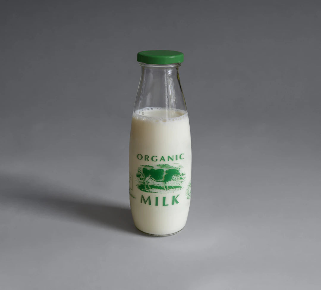 Discover the Best Low Carb Dairy Options for You