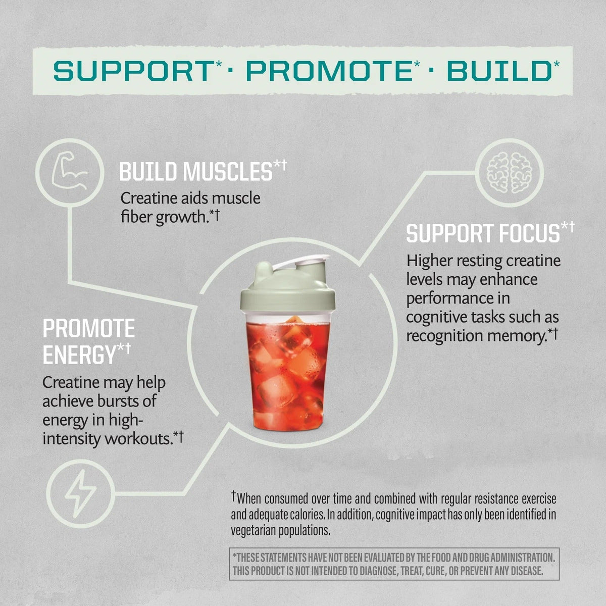 Active Creatine Monohydrate Unflavoured 300g