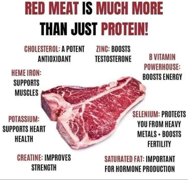 An infographic-style graphic with a large raw steak in the center and bold text around it claiming health benefits of red meat, including cholesterol, zinc, B vitamin, heme iron, potassium, selenium, creatine, and saturated fat. The background is white.