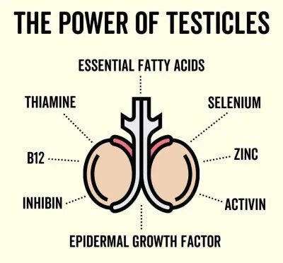 Grass Fed Bull Testicle Capsules - Love Low Carb