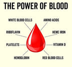 Grass Fed Whole Blood Capsules - Yo Keto