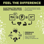 Informational graphic explaining how electrolytes sodium, chloride, and potassium power energy production, muscle, and heart function, linked to salt cravings and fluid loss, for LMNT Citrus Salt Electrolyte Mix - 30 Sticks by LMNT.