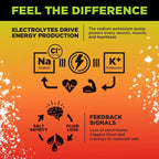 Informational graphic explaining how electrolytes sodium, potassium, and chloride support energy production and feedback signals for LMNT Mango Chilli Electrolyte Mix - 30 Sticks by LMNT.